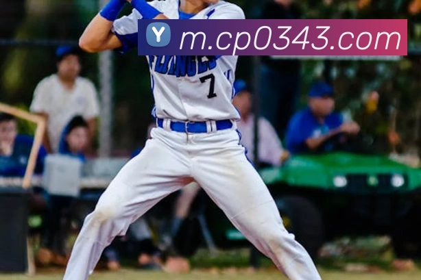 大发彩票平台生态图